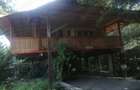 Vanzare Cabana + teren aferent 8HA - 4