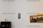  Apartament 1 camera - Piata Victoriei - complet mobilat si utilat - 350 euro  - 5