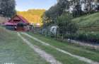 Vand casa aproape de Transfagarasan /Vidraru - 6