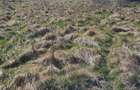 Teren de 1850 mp, în Ghilad - 7