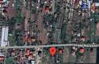 Vand teren de 1500 mp in Caciulati, comuna Moara Vlasiei, jud. Ilfov - 4