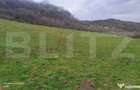 Teren superb 2.500 mp in Nicula lini?te, natura ?i p - 2