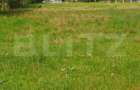 Teren de vanzare, 15.180 mp (9943 mp intravilan), zona Saru - Vatra Dornei (Suceava) - 2