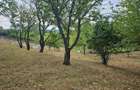 Vila rustica cu teren ca la munte 1291 mp semi central Iasi - 7