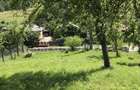 Teren Judetul Arges, comuna Babana - 5