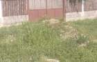 Loc de casa de vanzare - 3