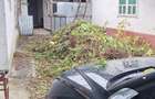 Casă cu Teren 960 Mp în Bâlca - 6
