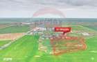 Teren intravilan 3.2 ha | Ortisoara | Zona industriala/agrozootehnica - 2
