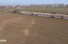 VAND sau INCHIRIEZ FERMA in Salcioara, judet Tulcea - 4