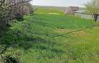 Teren de 6300 mp, în Vasile Alecsandri - 3