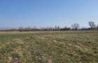 Teren intravilan 4700m2 Culcea periferie, Com. Sacalaseni - parcelabil - 1