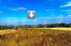 Teren extravilan 4265 mp, in Dangaul Mare - EXCLUSIVITATE