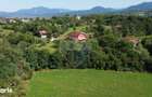 Teren 3,000mp Predelut / Strada Pe Tarina