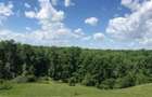 Teren intravilan 2.500 mp + 5.200 mp extravilan | Letca Veche | 27.000