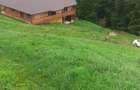 Casă cu Teren 2000 Mp în Sohodol - 8