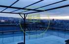 Inchiriere Penthouse deosebit, 67 mp.+100 mp. terasa, Iris - 7