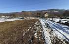 Teren intravilan 4521mp langa padure-valea Doftanei -Calea Brasovului - 5