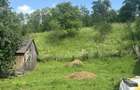 De vanzare casa la ?ara lini?te, natura ?i izvor de apa sarata! - 2