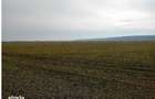 Teren extravilan 635 mp Harsesti, ID: R2922302 - 3