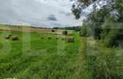 Teren extravilan, 2.2 hectare, zona Hiliseu-Horia