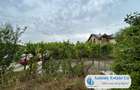 Antony Estate | LAKESIDE HOME - Lac Paleu - 4