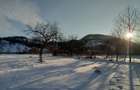 Teren intravilan la munte, in Nereju, Vrancea - 11