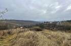 Teren intravilan, 1450 mp,cu front  de 14.5 m  in Feleac