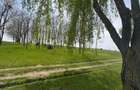 Oportunitate ideala pentru casa langa lac si padure de salcami - 1