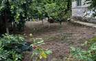 Casă cu 3 camere cu Teren 1700 Mp în Sălcioara - 15