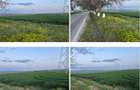 Teren cota parte 1/6 Paunesti, ID: R2547851 - 4