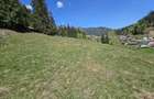 Teren de vanzare in Bucovina zona Pojorata pe Transrarau - 5
