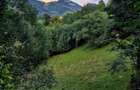 Teren investitie 8635 mp extravilan , Pestera Brasov - 11
