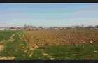 Teren 5300mp Teis DB 17 Euro Mp Sau parcelat - 6