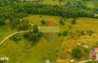 Teren intravilan 2,410mp Rasnov - Valea Panicelului, vedere panoramica - 5