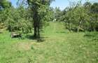 4000 mp. teren intravilan - 8