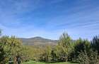 Vand teren intravilan 5593 mp in Talea, Prahova - acte in regula, panorama superba
