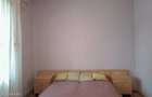 Freidorf - Corneliu Baba - Casa Individuala, 4 Camere, Lot 699 MP - 9