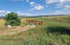 Teren intravilan construibil de 5.900 mp, zona industriala, ?oseaua de - 7