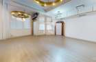 Spatiu comercial cu teren Arcul de Triumf - 6