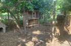 Casa spatioasa cu gradina si mult potential in podgoriile Aradului - 4