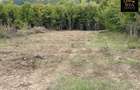 Teren 3000 mp de vanzare Budesti Racovita Valcea, panorama spectaculoa - 1