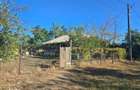 Casa si teren-Com Tamadau Mare, jud. Calarasi - 3
