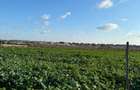 teren intravilan de vanzare agigea, constanta 500 mp - 4