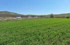 Teren de vanzare, 52600 mp, oportunitate de investitie - 2