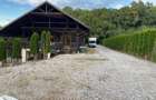 Vanzare teren 3000 mp, cabana, zona D D Rosca, Faget