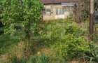 Teren intravilan 1.589 mp cu livadă matură și casă existentă – Dumbrăvești, sat - 4