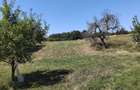 Teren de 1800 mp, în Ciceu-Corabia - 3