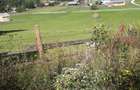 Teren 22.500 mp Saru Dornei - Neagra Sarului, intrav+extrav, intre case, acces f ok, 100 mii euro - 2