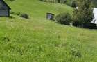 Teren 7 Hectare Brodina Suceava Par?ial Intravilan, Casa + Anexe, Zona de Munte | Ocazie - 5