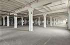 Spatiu Industrial - 6800 mp - Productie - Depozitare - Distributie - Orastie - 17